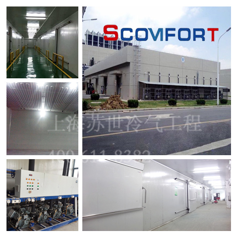 自動(dòng)立體冷庫 上海蘇世冷氣工程專業(yè)冷鏈 021-66105068 自動(dòng)立體冷庫 上海蘇世冷氣工程專業(yè)冷鏈 021-66105068
